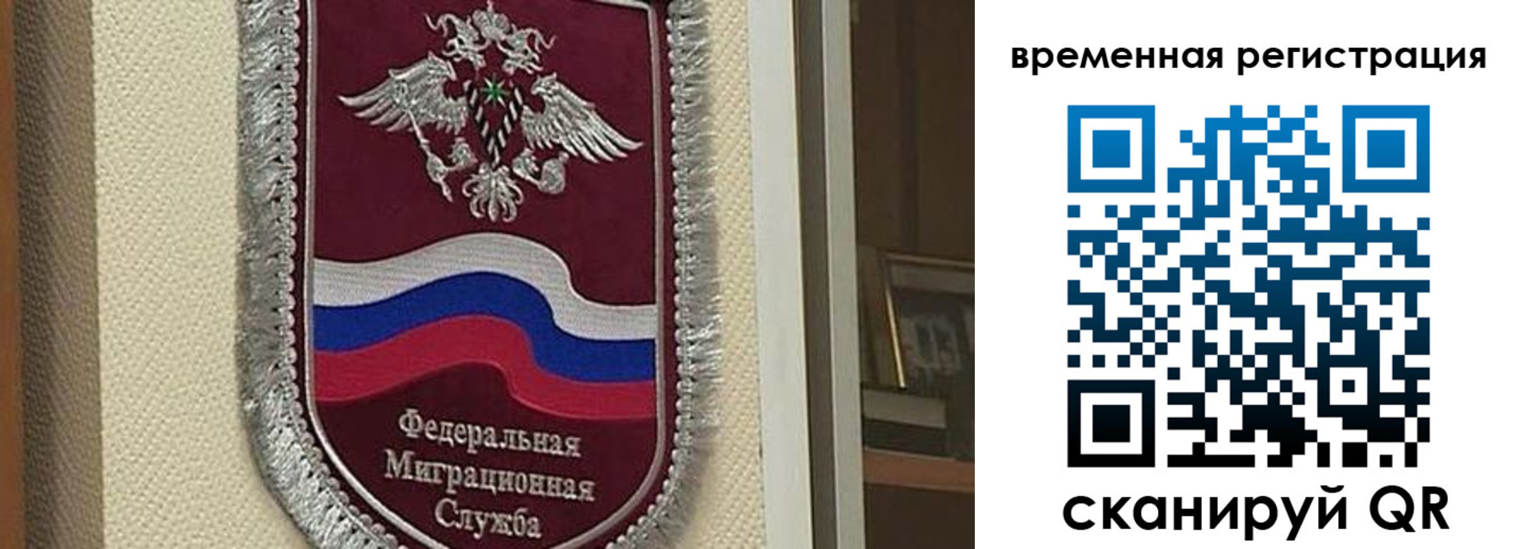 прописка законно в Струнино